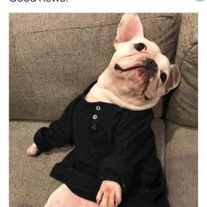 Meet your Posher, Franklin